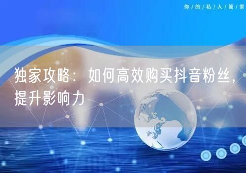 独家攻略：如何高效购买抖音粉丝，提升影响力