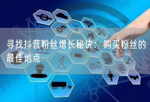 寻找抖音粉丝增长秘诀：购买粉丝的最佳地点