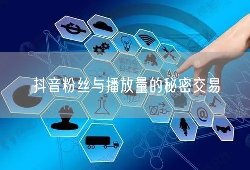 抖音粉丝与播放量的秘密交易