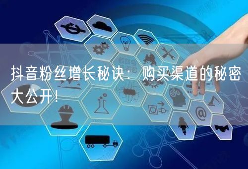抖音粉丝增长秘诀：购买渠道的秘密大公开！