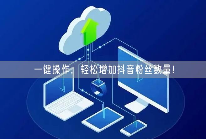 一键操作，轻松增加抖音粉丝数量！