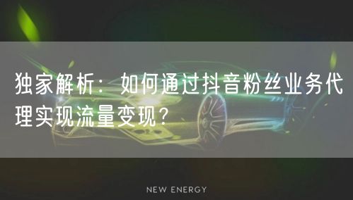 独家解析：如何通过抖音粉丝业务代理实现流量变现？