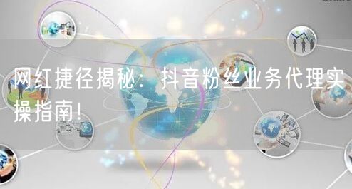 网红捷径揭秘：抖音粉丝业务代理实操指南！