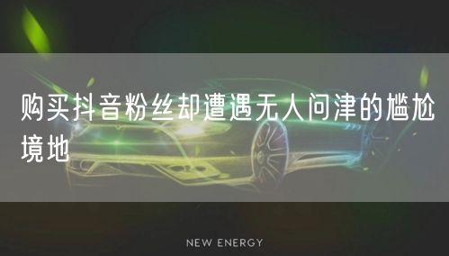 购买抖音粉丝却遭遇无人问津的尴尬境地