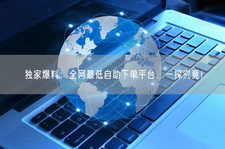 独家爆料：全网最低自助下单平台，一探究竟！