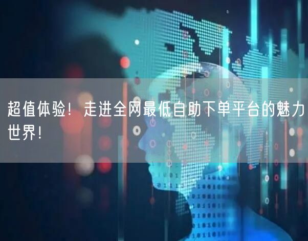 超值体验！走进全网最低自助下单平台的魅力世界！