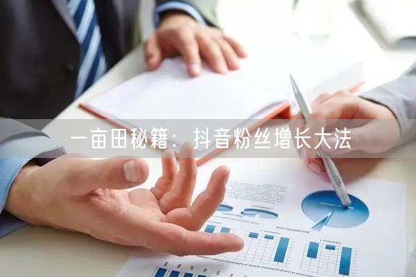 一亩田秘籍：抖音粉丝增长大法