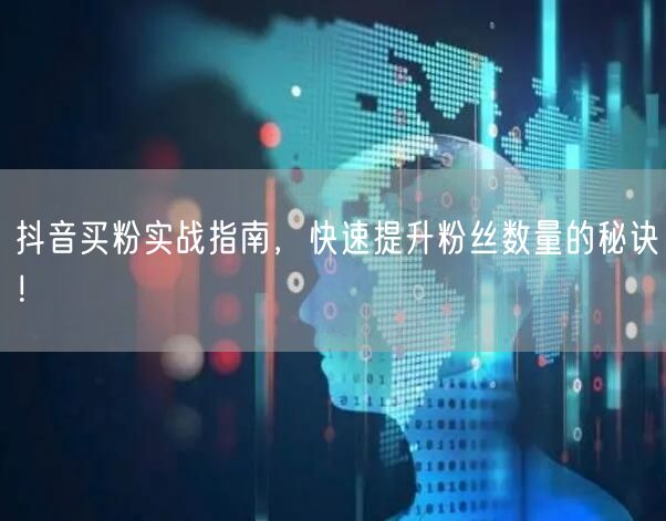 抖音买粉实战指南，快速提升粉丝数量的秘诀！