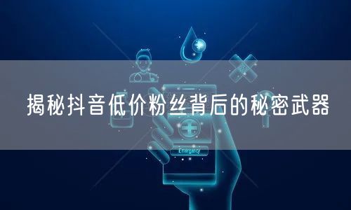 揭秘抖音低价粉丝背后的秘密武器