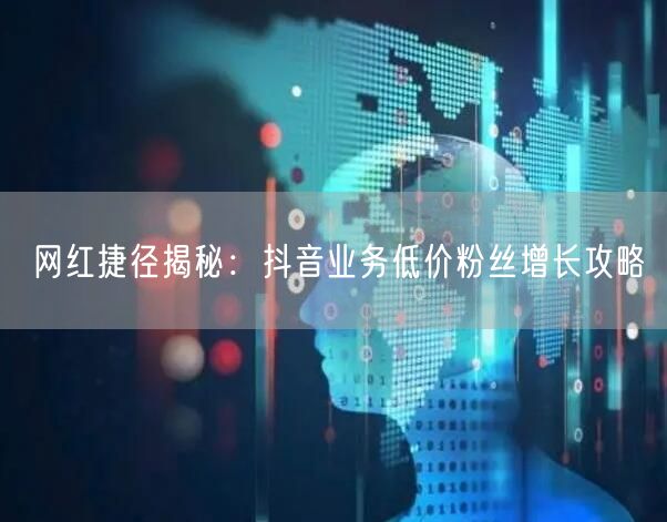 网红捷径揭秘：抖音业务低价粉丝增长攻略