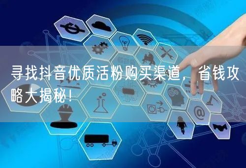 寻找抖音优质活粉购买渠道，省钱攻略大揭秘！