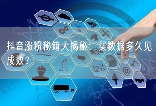 抖音涨粉秘籍大揭秘：买数据多久见成效？