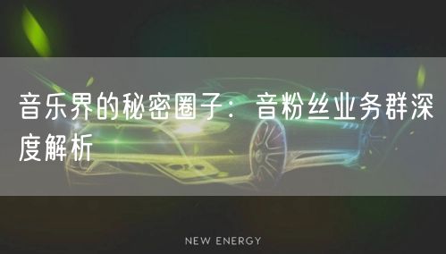 音乐界的秘密圈子：音粉丝业务群深度解析