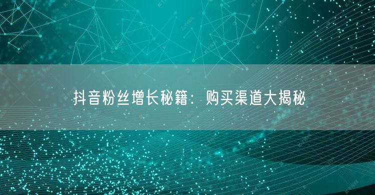 抖音粉丝增长秘籍：购买渠道大揭秘