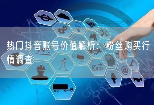 热门抖音账号价值解析：粉丝购买行情调查