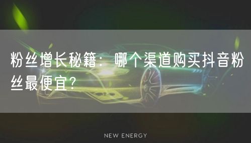 粉丝增长秘籍：哪个渠道购买抖音粉丝最便宜？
