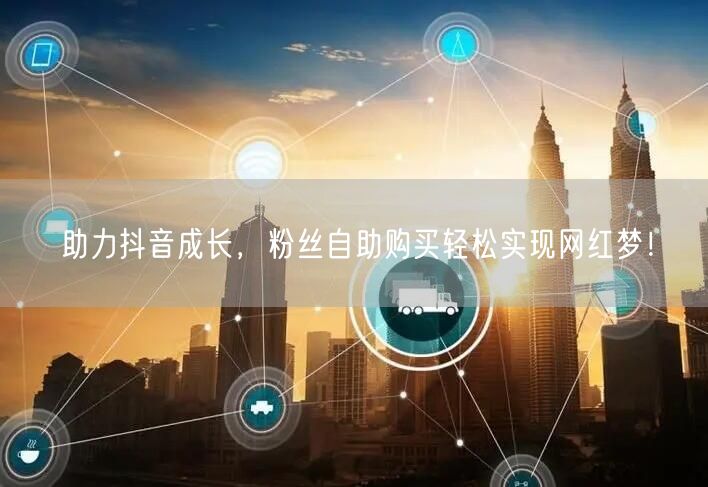 助力抖音成长，粉丝自助购买轻松实现网红梦！