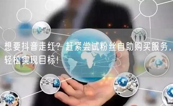 想要抖音走红？赶紧尝试粉丝自助购买服务，轻松实现目标！